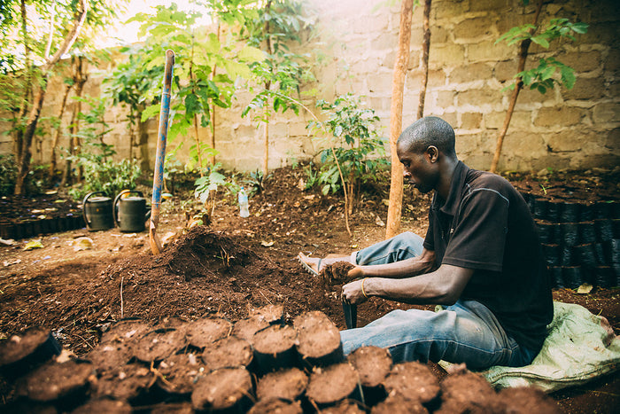 One Tree Planted