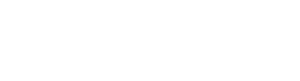 Blunt logo