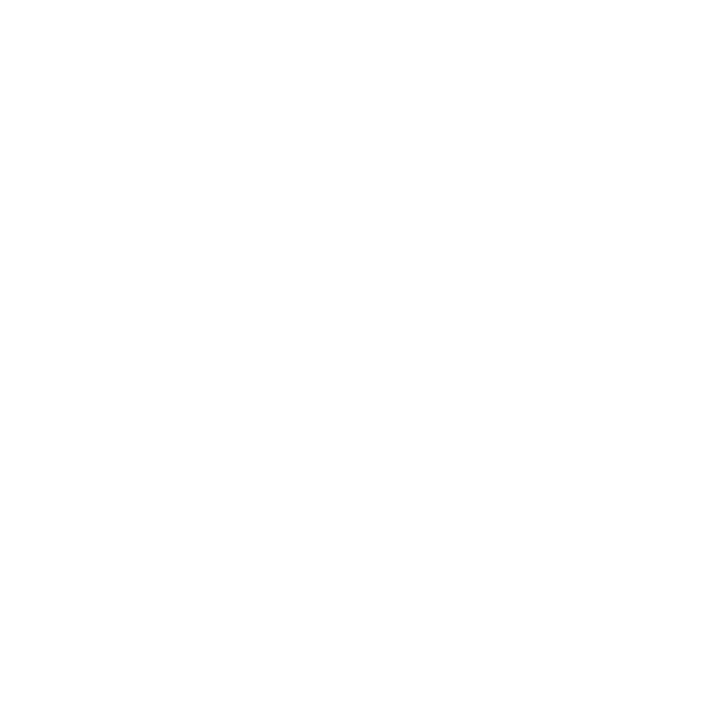 LynchNW logo