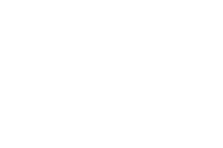 Moscow Copper Co. logo