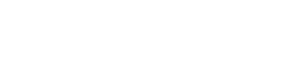 Roav logo